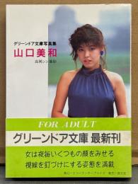 山口美和 写真集　初版 帯付き　グリーンドア文庫写真集　AV女優ヌード