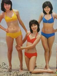 キャンディーズ ビキニ 木製パネル 約58x42センチ　印刷サイン入　伊藤蘭　藤村美樹　田中好子
