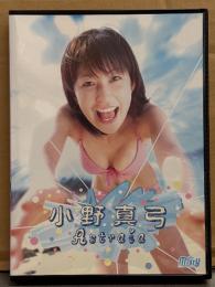 小野真弓 DVD 「Ａｓｔｒａｉａ」 国内正規 セル品　MistyアイドルDVDシリーズ