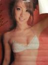山本梓 等身大以上 ビキニポスター アサ芸シークレット　アサヒ芸能　B0サ...