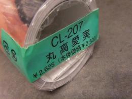 未開封 丸高愛実 2013年 ビキニカレンダー　B2サイズ 8枚綴り