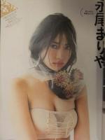 サイゾー 2019年4月 禁じられたSEX論 永尾まりや 仲村美海 SEX依存症からAIラブドール ゲイメディア興亡 今知るべきSEX問題
