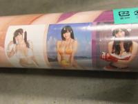 新品　高崎聖子（高橋しょう子/たかしょー） 2016年 ビキニカレンダー 未開封　B2サイズ　8枚綴り