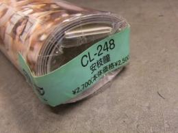 新品 安枝瞳 2016年 ビキニカレンダー 未開封　B2サイズ　8枚綴り