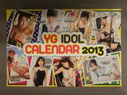YG IDOL CALENDAR 2013　カレンダー 吉木りさ 篠崎愛 相楽樹 鈴木愛理 志村理佳 伊藤優衣 松井玲奈 吉川友 ヤングガンガン別冊付録
