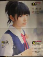 YG IDOL CALENDAR 2013　カレンダー 吉木りさ 篠崎愛 相楽樹 鈴木愛理 志村理佳 伊藤優衣 松井玲奈 吉川友 ヤングガンガン別冊付録