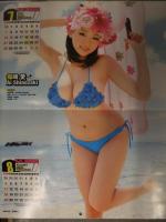 YG IDOL CALENDAR 2013　カレンダー 吉木りさ 篠崎愛 相楽樹 鈴木愛理 志村理佳 伊藤優衣 松井玲奈 吉川友 ヤングガンガン別冊付録