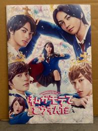 邦画 パンフレット　「私がモテてどうすんだ」　　平沼紀久　吉川菜美・福田晶平・渡辺啓・上條大輔・平沼紀久　他　