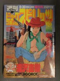 ビッグコミックスピリッツ 1994年6月30日 野望編 浦沢直樹 若狭たけし 深巳琳子 村尾利明 渡辺風流 今谷鉄柱 光永康則 和田完 西野ひろふみ