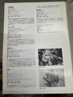 パンフレット 「ヤン・シュワンクマイエル 映画祭’90」　チェコ・アニメーション