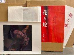 杉本彩 大型写真集 「映画 花と蛇 生写真集」 大判生写真７２枚　初版 外箱・付録冊子付