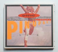 ピンナップ・エイジ