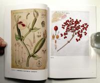 草木の精 牧野富太郎 : 企画展