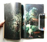 朝日ジャーナル 第13巻第32号 1971年8月20-27日号