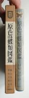 原色日本蝶類図鑑