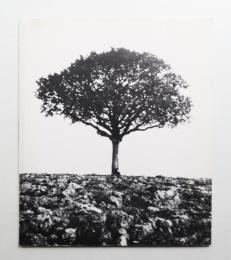 ジャン=ピエール・レイノー展