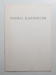 河口龍夫展 (1975年)