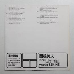 関根美夫 (1975年)