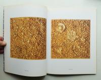 Yayoi Kusama : now