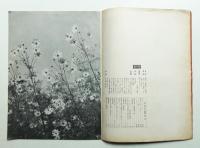 花椿 1938年11月 No.13