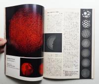 インテリア Japan Interior Design No.105 1967年12月
