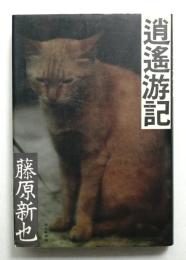 逍遥游記