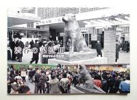 渋谷の記憶 : 写真でみる今と昔 第3