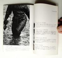 マグナム世界写真展