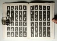 ポートレート入門 : 女性写真の実践的入門書