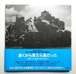 遠くから見たら島だった