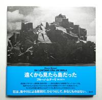 遠くから見たら島だった