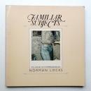 Familiar subjects: Polaroid SX-70 impressions
