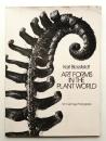 Art forms in the plant world : 120 full-page photographs