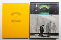 環境のグラフィック