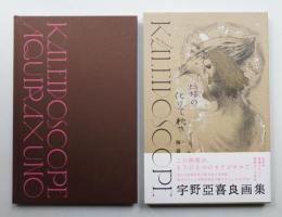 宇野亞喜良画集 Kaleidoscope