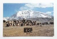 E + D + P 出版印刷表現の遊びと研究 No.17