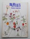 草月 ikebana sogetsu 113号 1977年8月