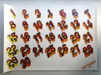 1985 Igarashi Poster Calendar