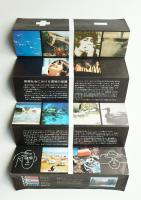 スカンジナビア館 (デンマーク アイスランド フィンランド ノルウェー スウェーデン)