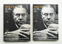 モホリ=ナギ : 総合への実験