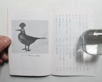 西洋骨董品展覧會 (昭和12年12月)