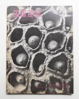 国際建築 第33巻 第1号 1966年1月