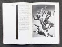 芸術の日本 前衛芸術の日本 : 1910-1970 / 古本、中古本、古書籍の通販は「日本の