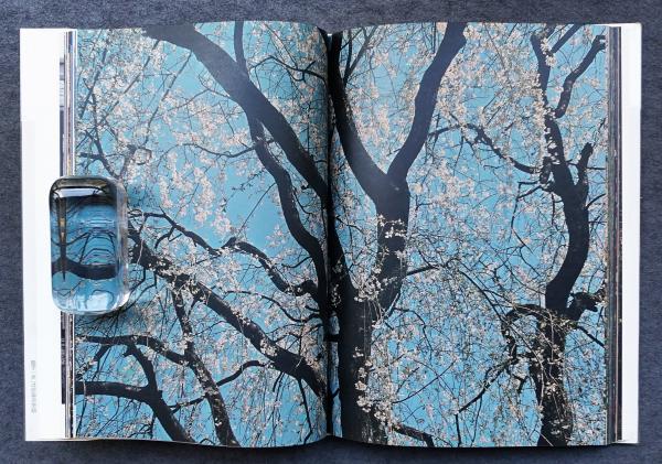 京 kyoto in KYOTO(文 : 大仏次郎 ; 写真 + 文 : 岩宮武二 ; 装本 