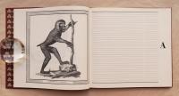 Carnet d'adresses