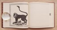 Carnet d'adresses