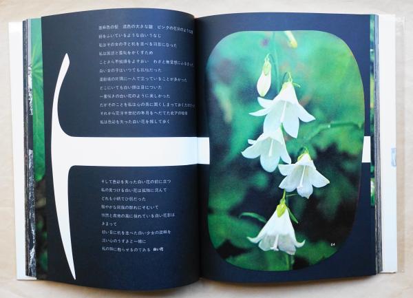 山の意匠 : 田淵行男写真集(田淵行男 : 著) / 古本、中古本、古