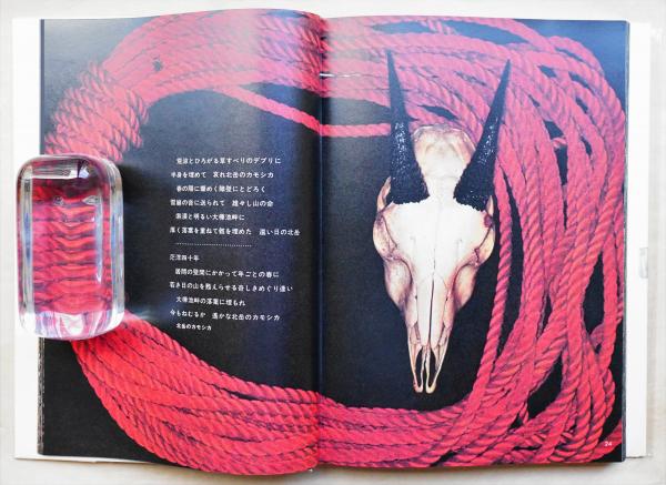 山の意匠 田淵行男写真集 朝日新聞社 1971年発行 山の意匠―田淵行男写真集 (1971年) | 田淵行男 |本 | 通販 | Amazon