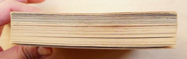 ミス・ペテン(著 : 鴨居羊子 ; 編 : 楢崎汪子 ; 写真 : 細江英公