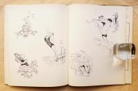 Médisances / Les meilleurs dessins humoristiques de Ronald Searle.
